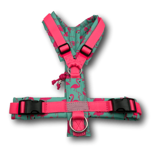 Y-Geschirr BT EasyWalk® Flamingo Dream Gr. S - Beagletuff