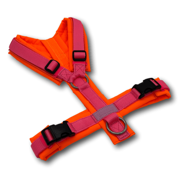 Y-Geschirr BT EasyWalk® Neon Edition orange/pink - Beagletuff