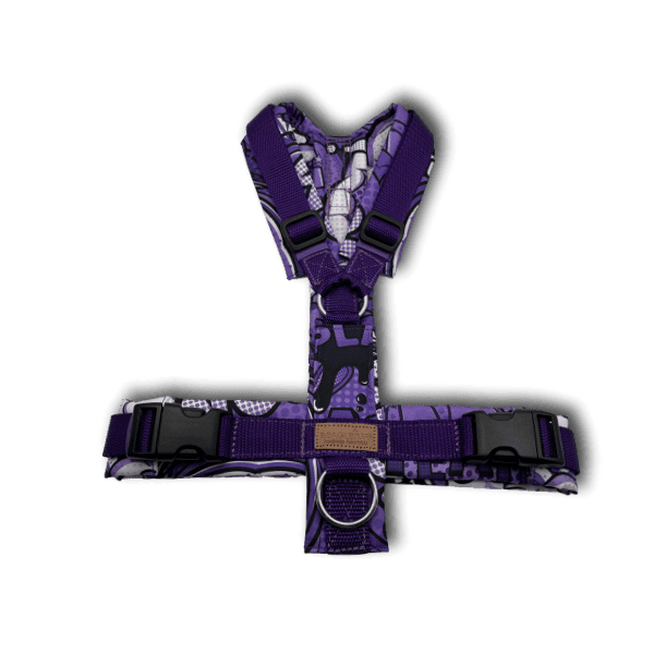 Y-Geschirr BT EasyWalk® Comic lila - Beagletuff