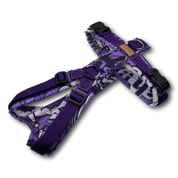 Y-Geschirr BT EasyWalk® Comic lila - Beagletuff