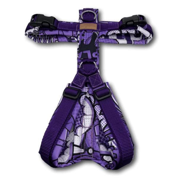 Y-Geschirr BT EasyWalk® Comic lila - Beagletuff