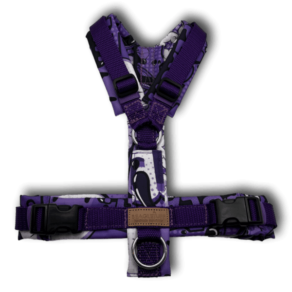 Y-Geschirr BT EasyWalk® Comic lila - Beagletuff