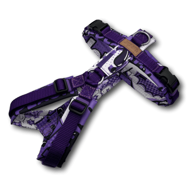 Y-Geschirr BT EasyWalk® Comic lila - Beagletuff