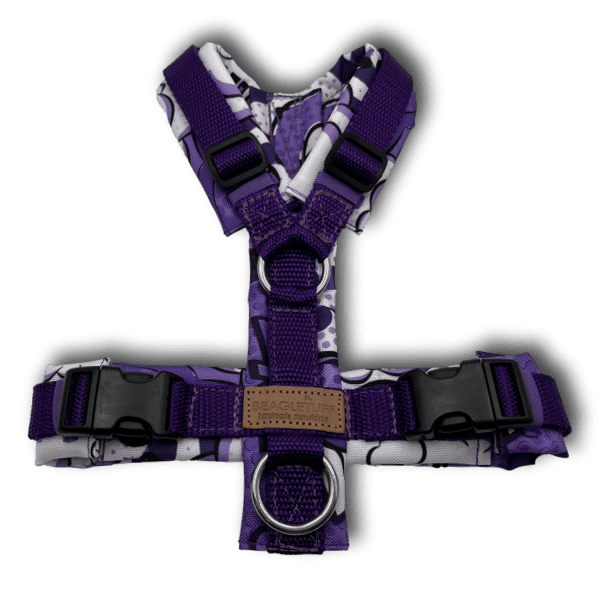 Y-Geschirr BT EasyWalk® Comic lila - Beagletuff