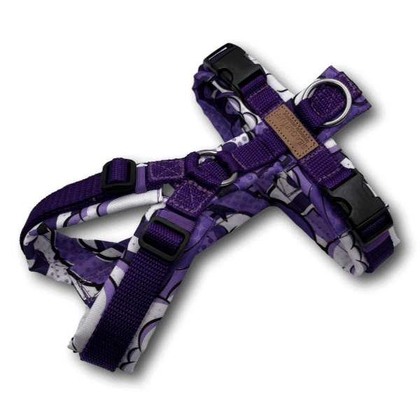 Y-Geschirr BT EasyWalk® Comic lila - Beagletuff