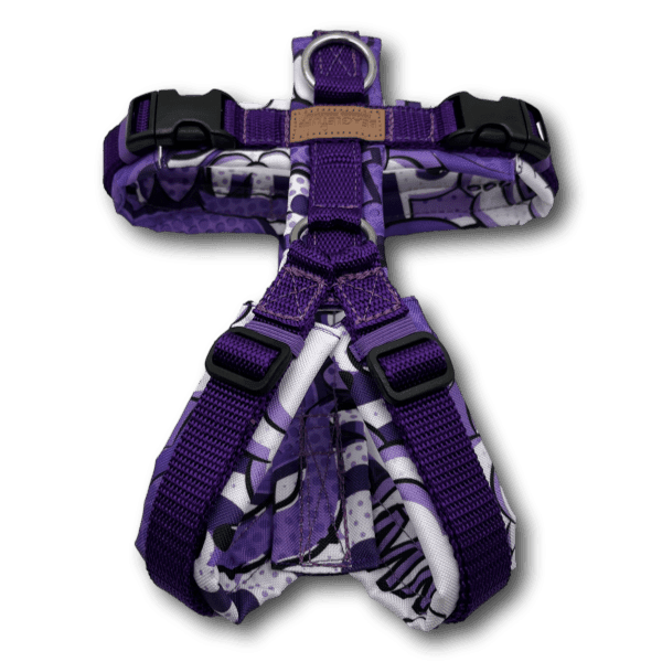 Y-Geschirr BT EasyWalk® Comic lila - Beagletuff