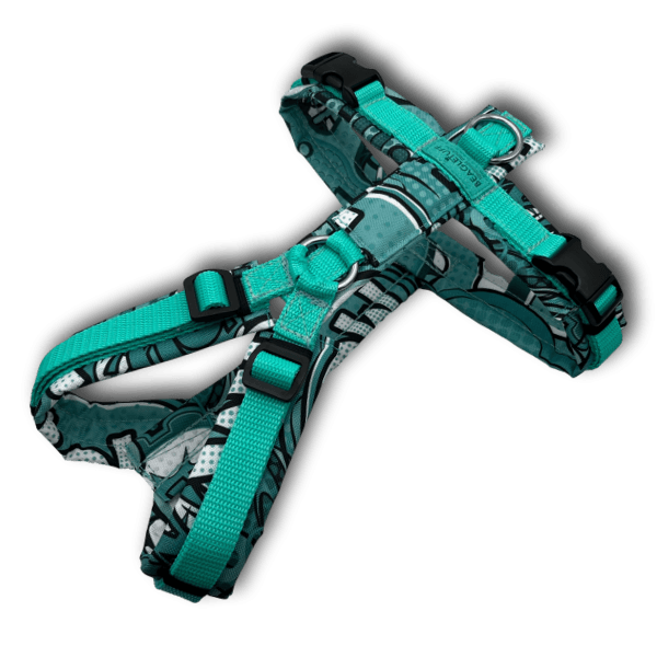 Y-Geschirr BT EasyWalk® Comic petrol - Beagletuff