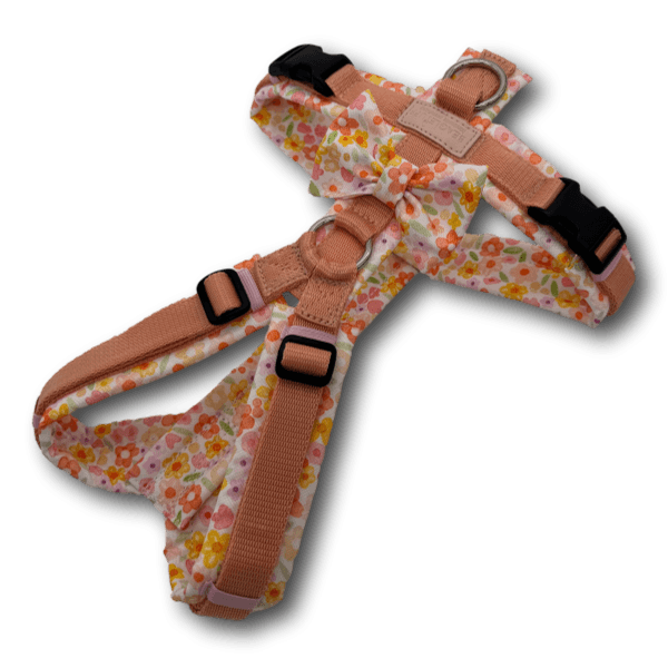 BT EasyWalk® Peach Meadow Y-Hundegeschirr mit Gurtband in Peach, Blumenpolster in Orange, Gelb und Rosa und Stoffschleife, seitlich liegend