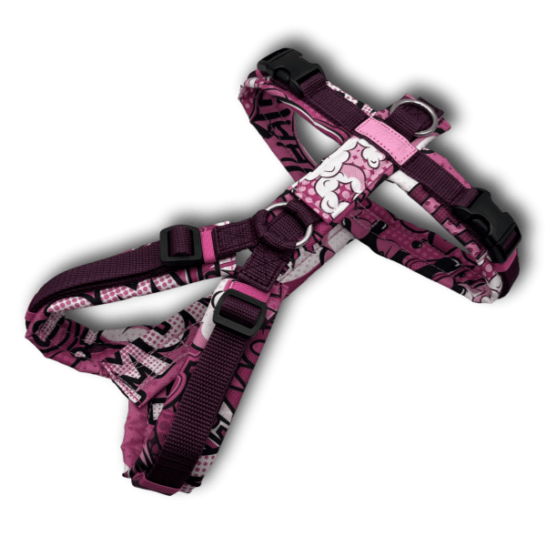 Y-Geschirr BT EasyWalk® Comic fuchsia - Beagletuff