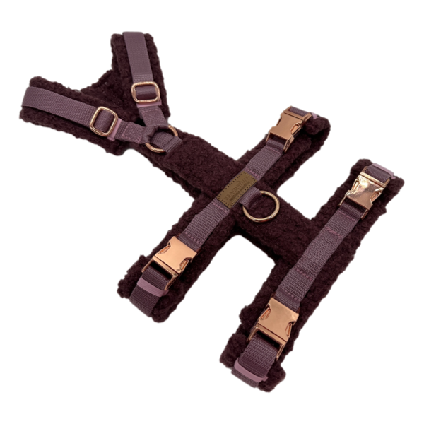 BT EasyWalk® Plus - Sicherheitsgeschirr