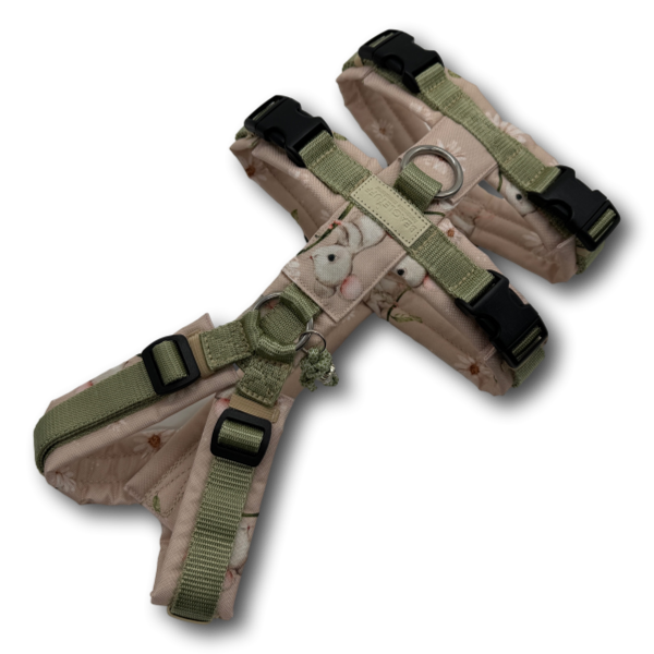 BT EasyWalk® Plus - Sicherheitsgeschirr