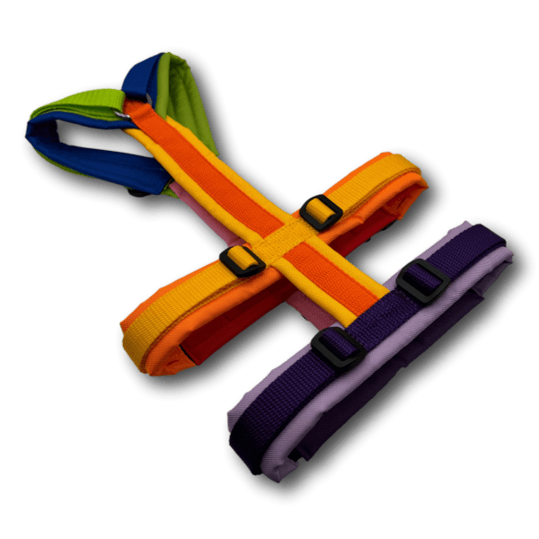 Y-Geschirr BT EasyWalk® Edition Julia bunt - Beagletuff