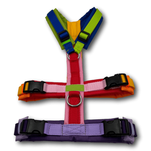 Y-Geschirr BT EasyWalk® Edition Julia bunt - Beagletuff