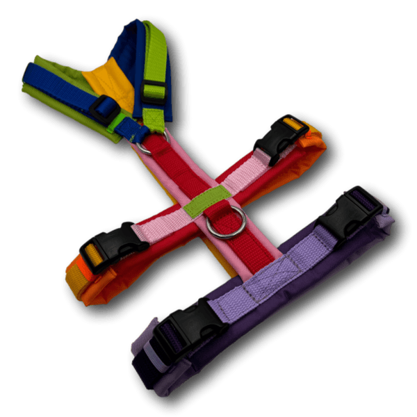 Y-Geschirr BT EasyWalk® Edition Julia bunt - Beagletuff