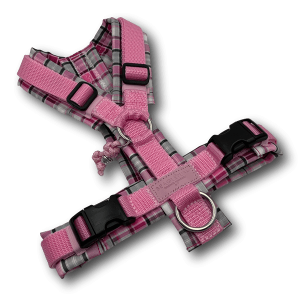 Y-Geschirr BT EasyWalk® rosa/Karo pink Gr. XS - Beagletuff