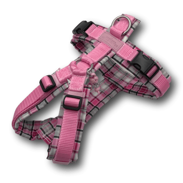 Y-Geschirr BT EasyWalk® rosa/Karo pink Gr. XS - Beagletuff