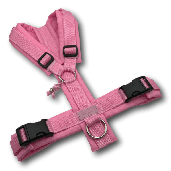 Y-Geschirr BT EasyWalk® rosa/rosa Gr. M - Beagletuff