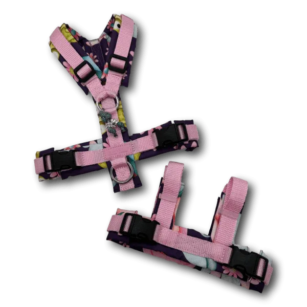 Adapter SafetyFlex - Beagletuff