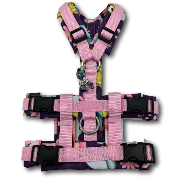 Adapter SafetyFlex - Beagletuff