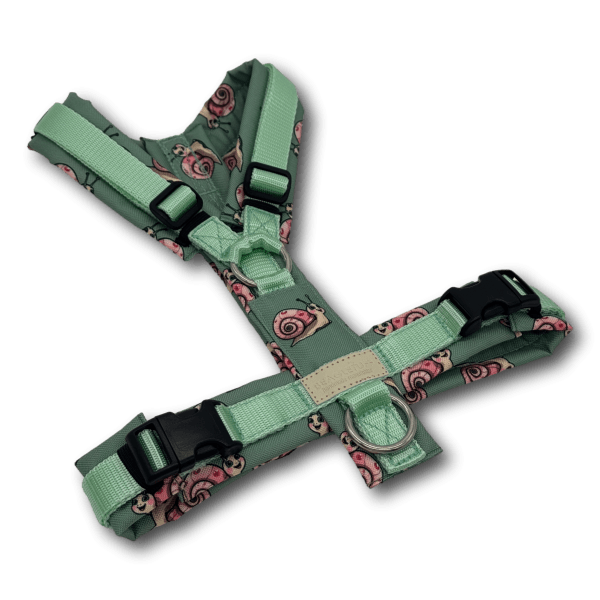 Y-Geschirr BT EasyWalk® Edition Schnecke Leni salbei dunkel - Beagletuff