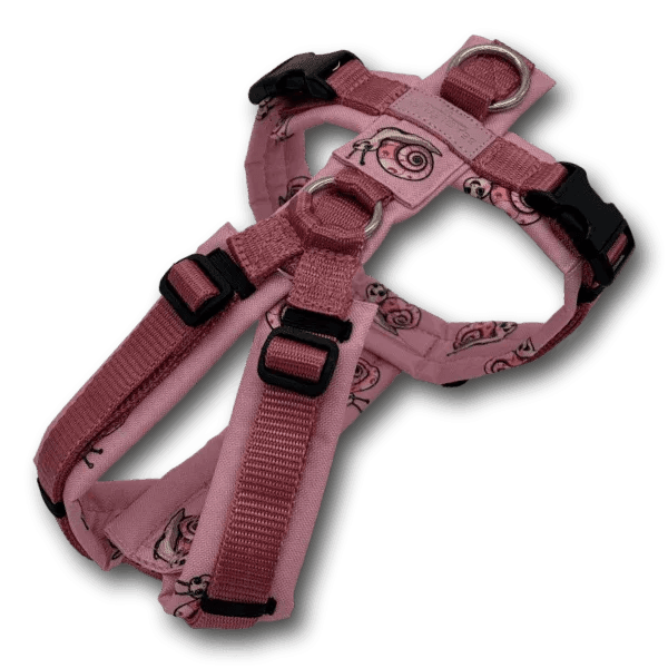 Y-Geschirr BT EasyWalk® Edition Schnecke Leni altrosa - Beagletuff