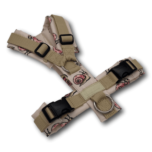 Y-Geschirr BT EasyWalk® Edition Schnecke Leni creme - Beagletuff