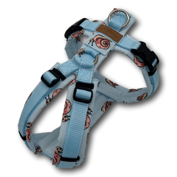 Y-Geschirr BT EasyWalk® Edition Schnecke Leni hellblau - Beagletuff