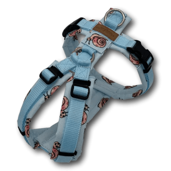 Y-Geschirr BT EasyWalk® Edition Schnecke Leni hellblau - Beagletuff