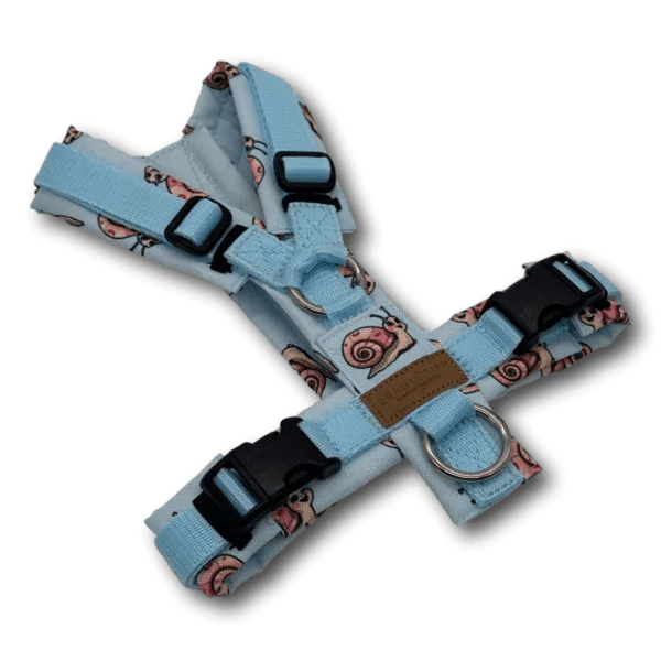 Y-Geschirr BT EasyWalk® Edition Schnecke Leni hellblau - Beagletuff