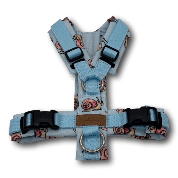 Y-Geschirr BT EasyWalk® Edition Schnecke Leni hellblau - Beagletuff