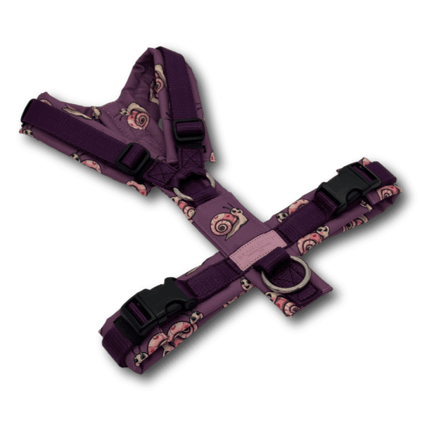 Y-Geschirr BT EasyWalk® Edition Schnecke Leni mauve - Beagletuff