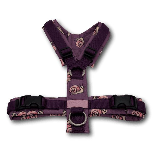Y-Geschirr BT EasyWalk® Edition Schnecke Leni mauve - Beagletuff