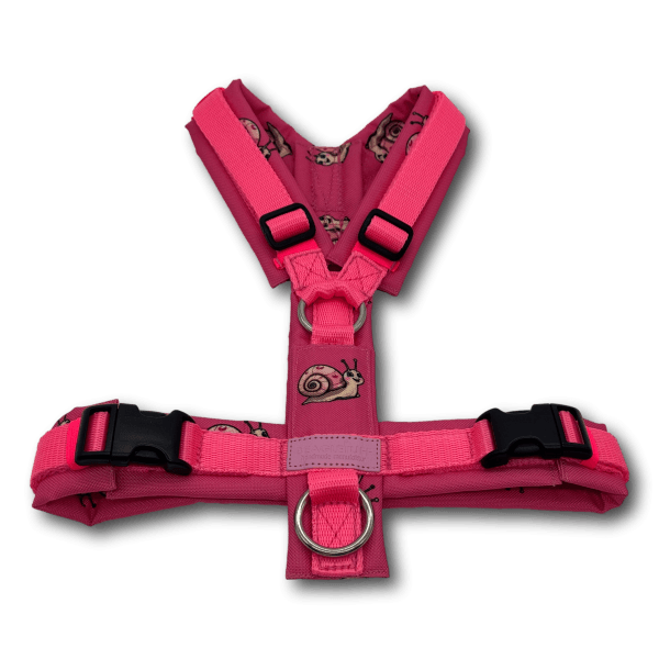 Y-Geschirr BT EasyWalk® Edition Schnecke Leni pink - Beagletuff