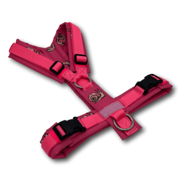 Y-Geschirr BT EasyWalk® Edition Schnecke Leni pink - Beagletuff