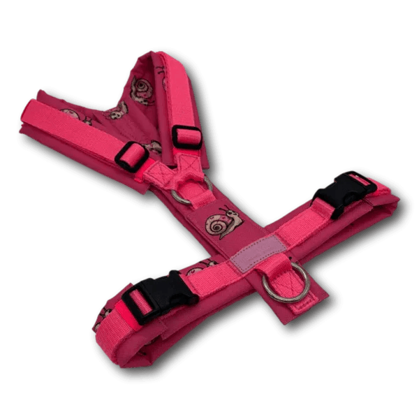 Y-Geschirr BT EasyWalk® Edition Schnecke Leni pink - Beagletuff