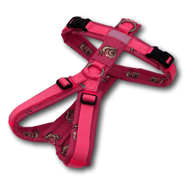 Y-Geschirr BT EasyWalk® Edition Schnecke Leni pink - Beagletuff