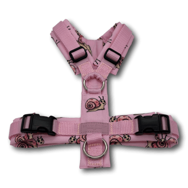 Y-Geschirr BT EasyWalk® Edition Schnecke Leni rosa - Beagletuff