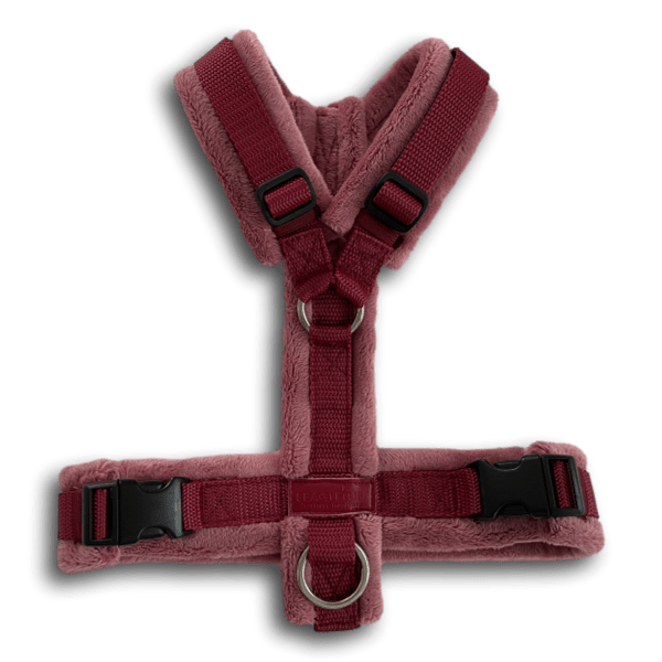 BT EasyWalk® Snuggle