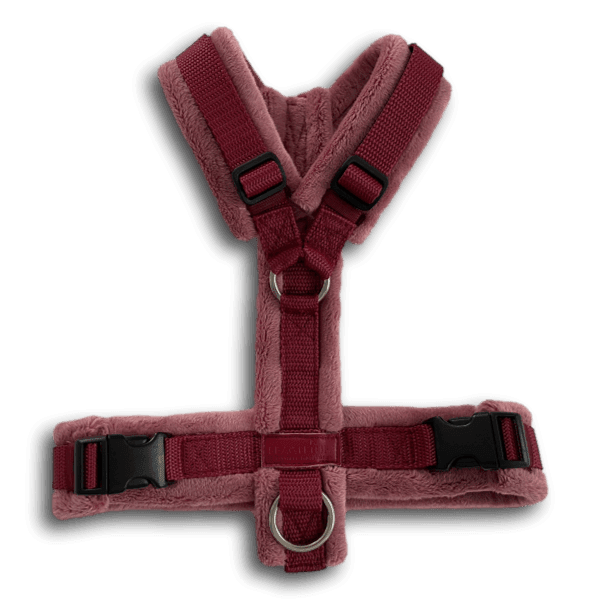 BT EasyWalk® Snuggle - Beagletuff