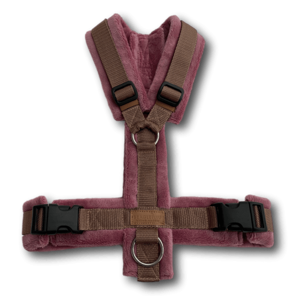 BT EasyWalk® Snuggle - Beagletuff