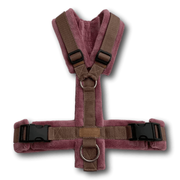 BT EasyWalk® Snuggle - Beagletuff
