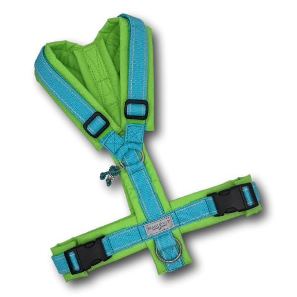 Y-Geschirr BT EasyWalk® türkis Reflektor/neongrün Gr. M - Beagletuff