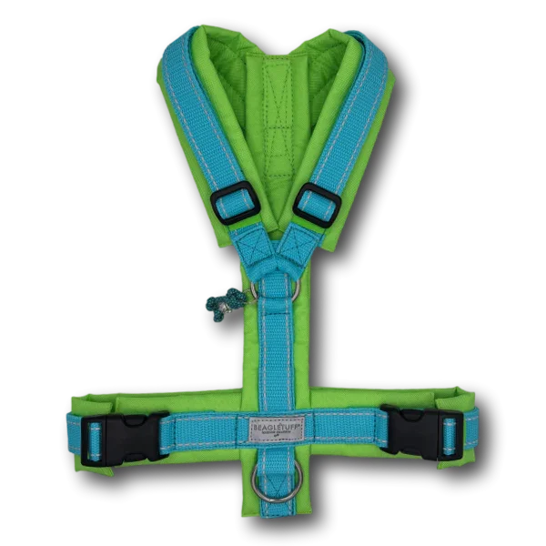 Y-Geschirr BT EasyWalk® türkis Reflektor/neongrün Gr. M - Beagletuff