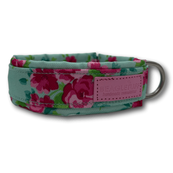 BT Halsband Premium - Beagletuff