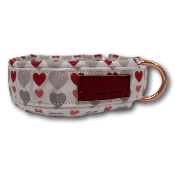 BT Halsband Premium - Beagletuff