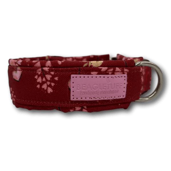 BT Halsband Premium - Beagletuff