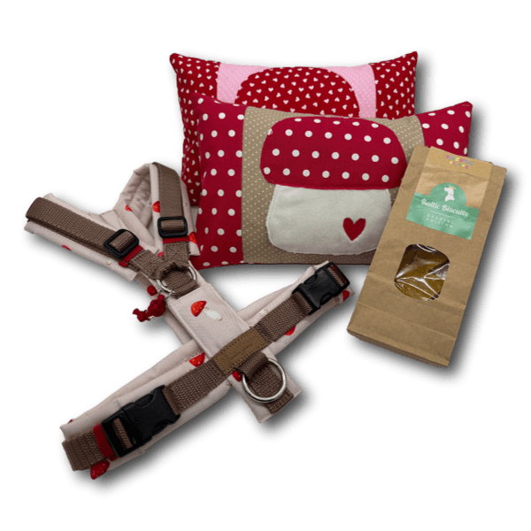 Schmusekissen Fliegenpilz - Beagletuff