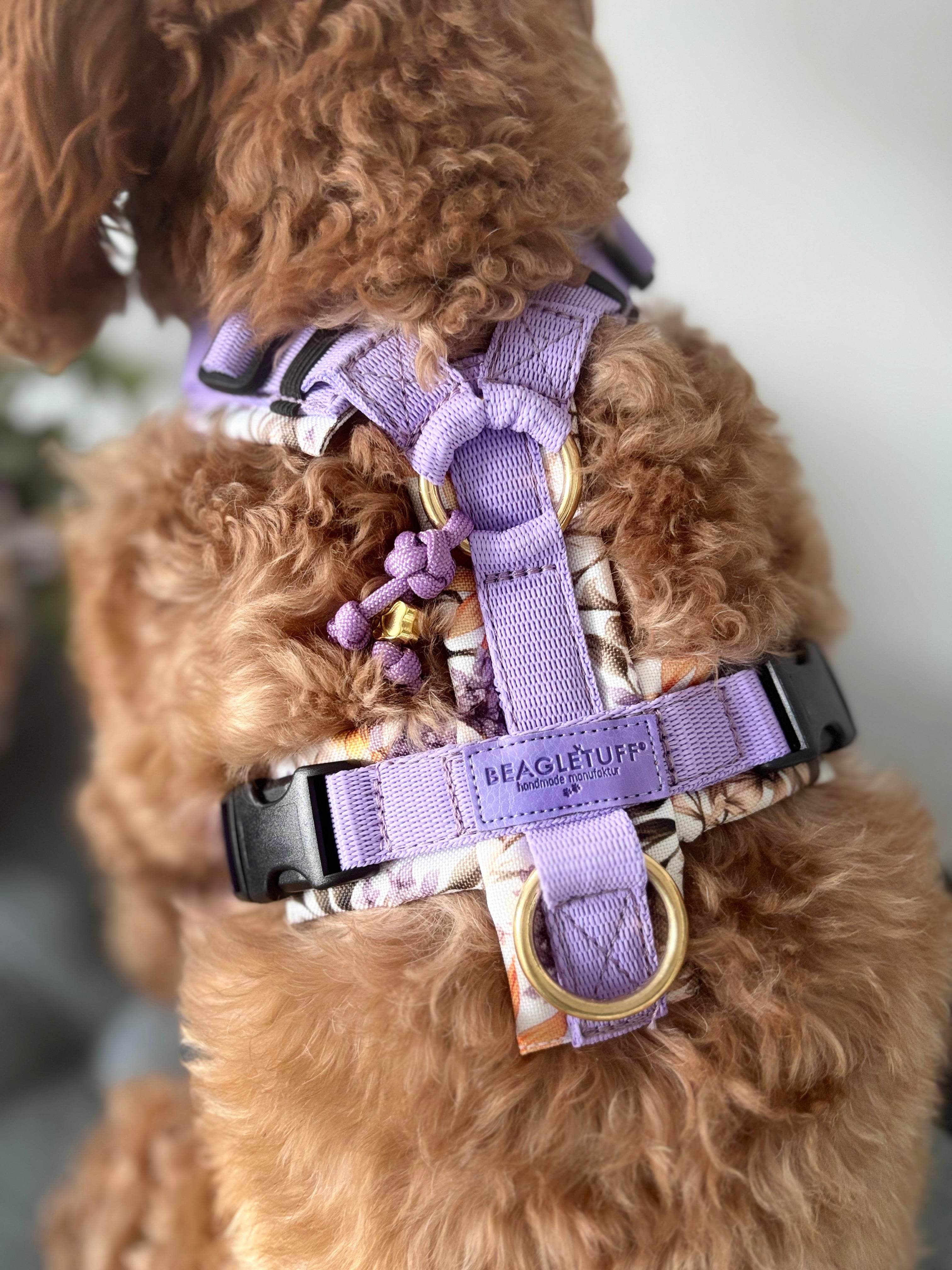 BT EasyWalk® Tira's Blumenzauber lila/gelb - Beagletuff