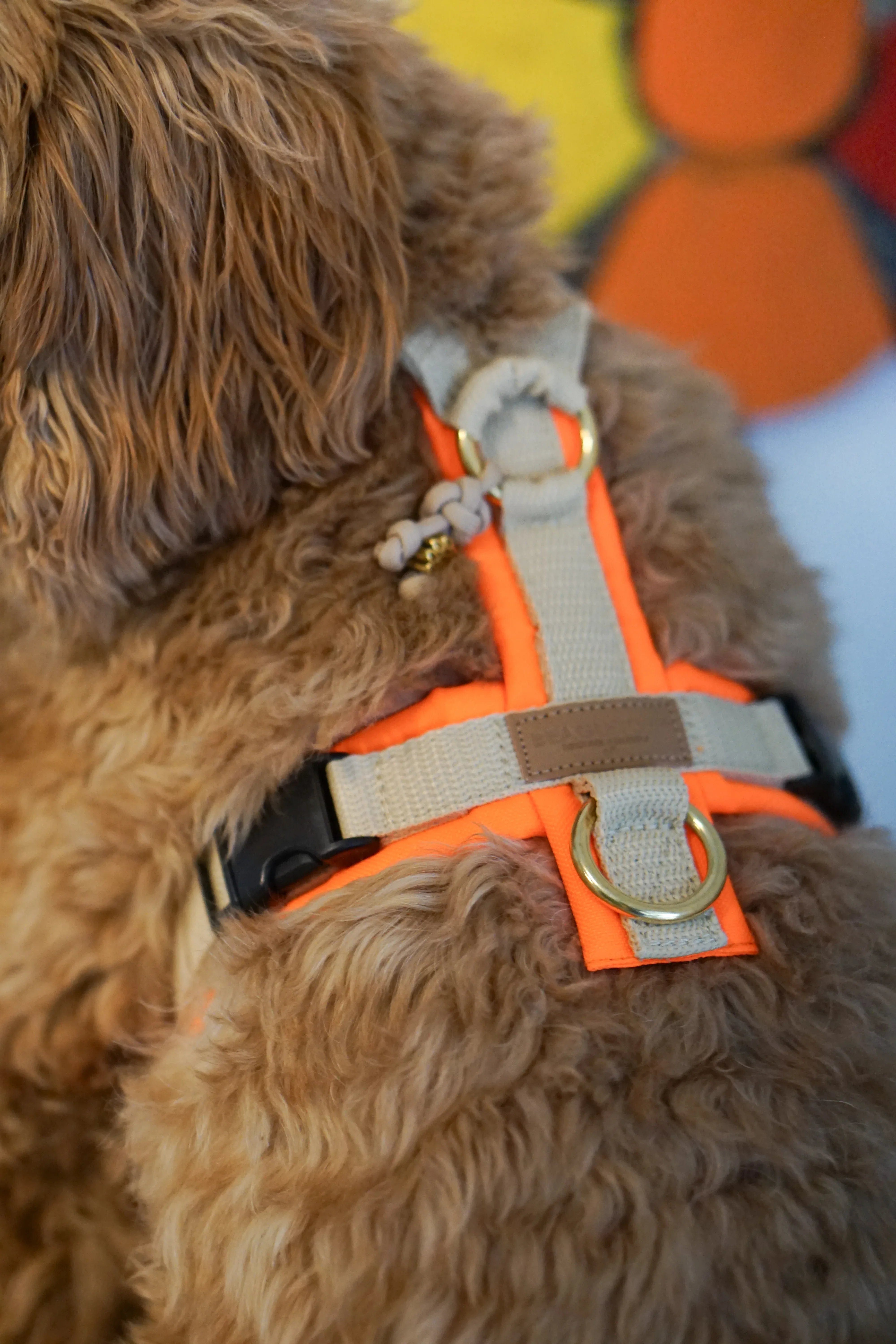 BT EasyWalk® Tira – Hundegeschirr in Neonorange & Beige Produktbild von Beagletuff