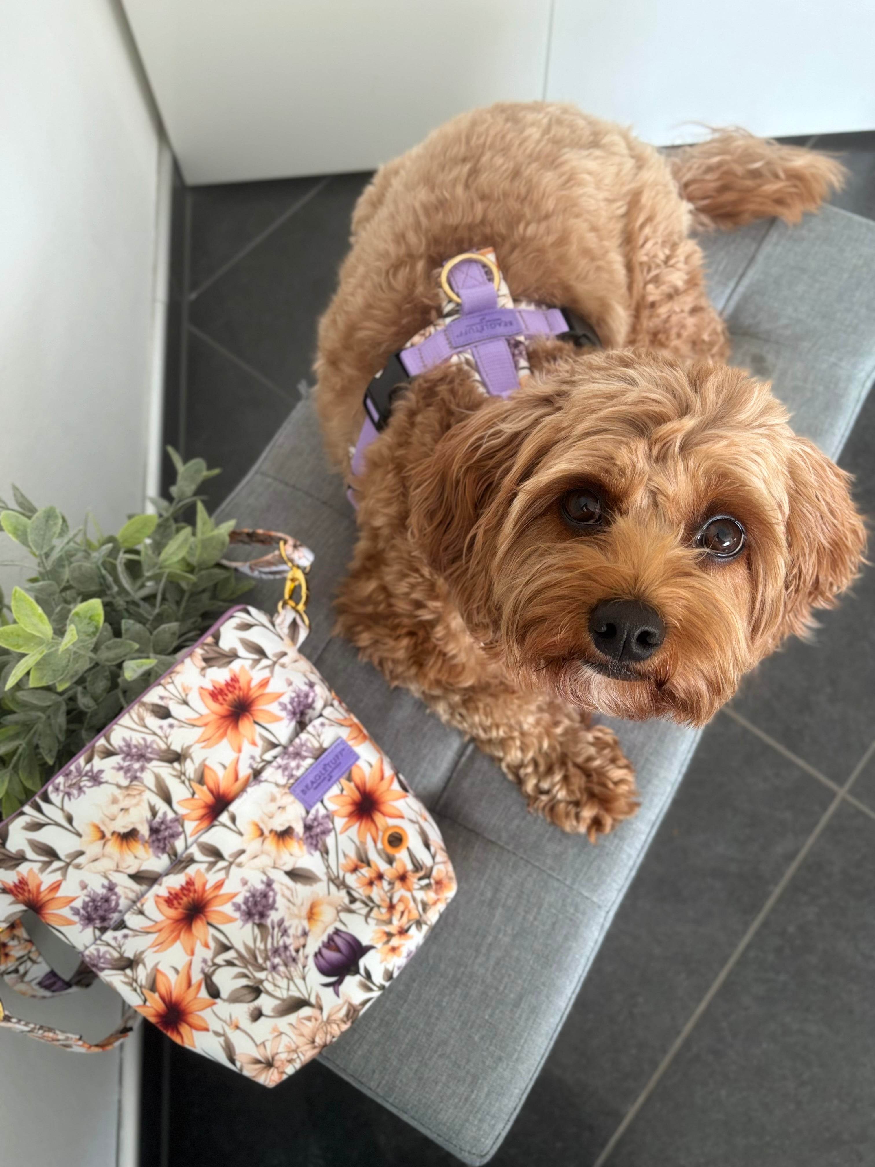 BT WuffBag Blumenzauber lila/gelb - Beagletuff